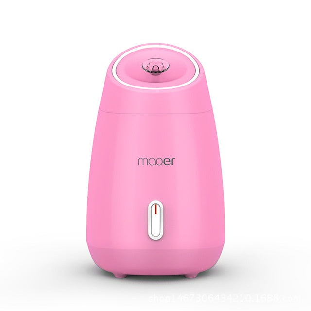 Face Detoxification Steamer