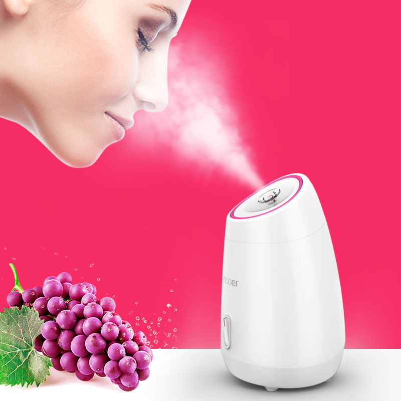 Face Detoxification Steamer