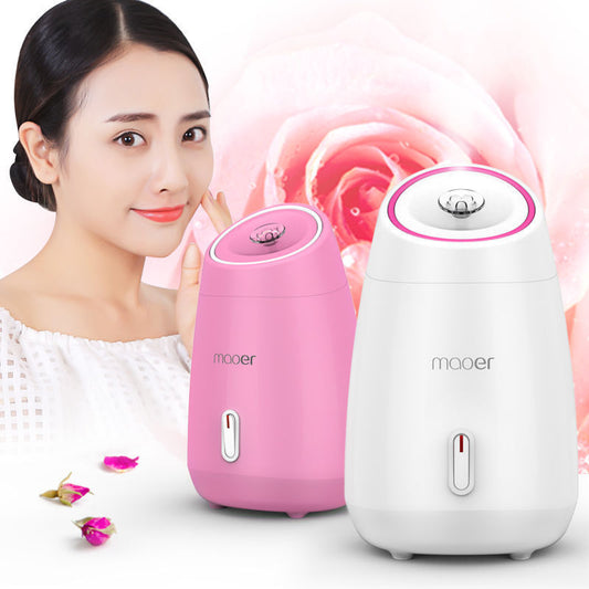 Face Detoxification Steamer