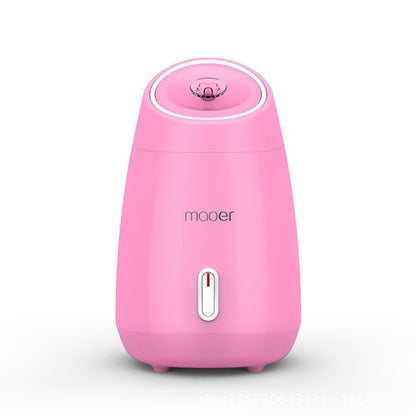 Face Detoxification Steamer